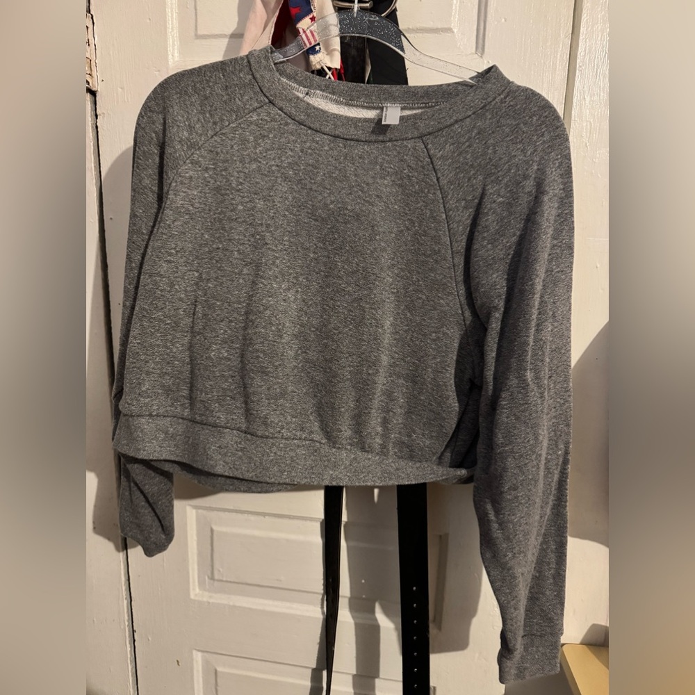 american apparel grey cropped sweatshirt